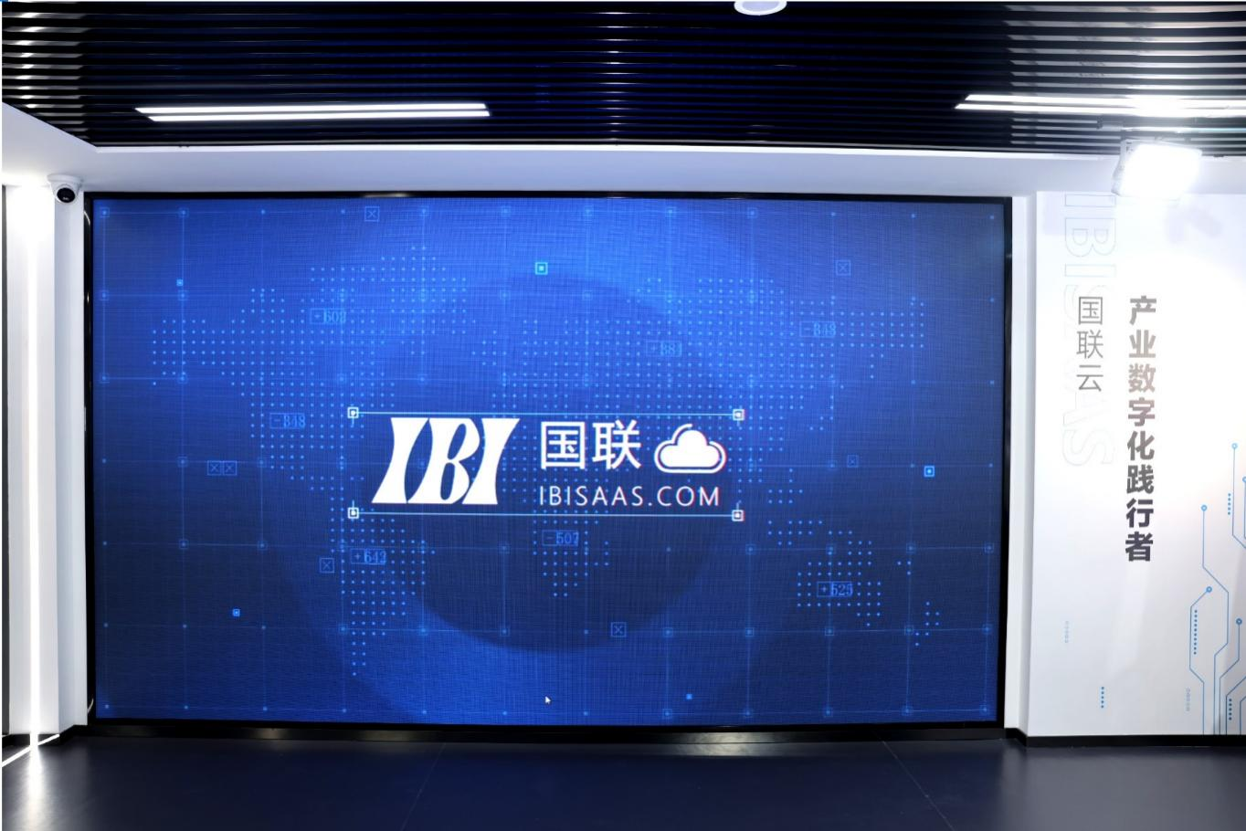 IBI: A Practitioner of the Industrial Digital Economy